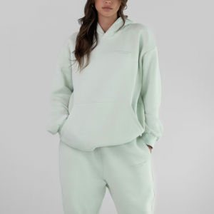 Comfrt Pastel Hoodie Heavyweight Sweats And Hoodie Unisex (4)